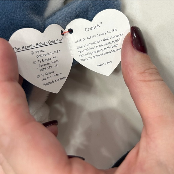 Rare Beanie Babie Crunch with tag errors - Picture 4 of 5